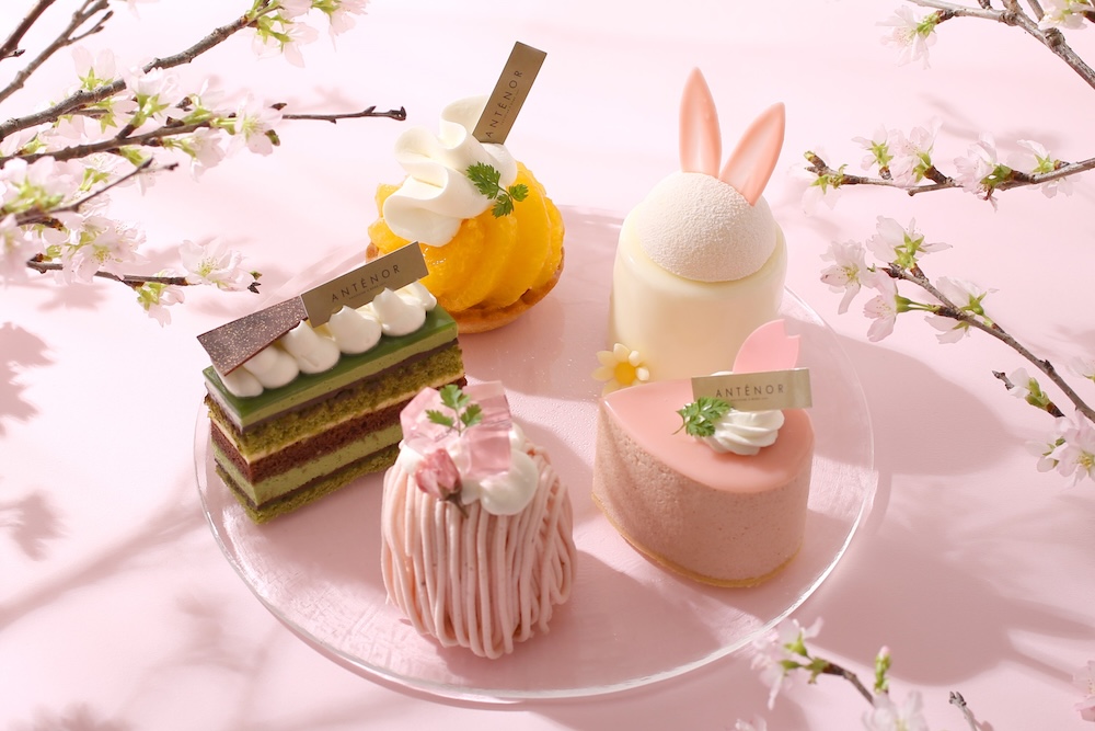 神戸発のパティスリー「アンテノール」は3月5日より、全国のケーキ取り扱い店舗にて、お花見をテーマにしたスイーツを展開する。